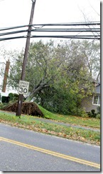Hurricane Sandy -NY Ave Melville